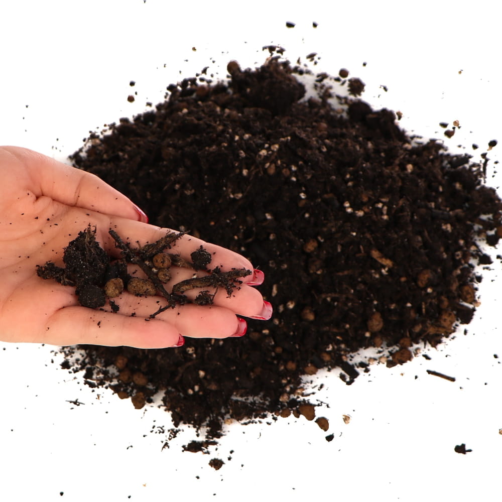 plant booster5.jpg